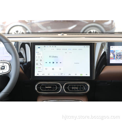 2022 Leapmotor C11  new energy vehicle